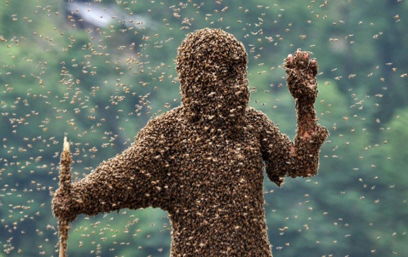 Пчеловод из Китая