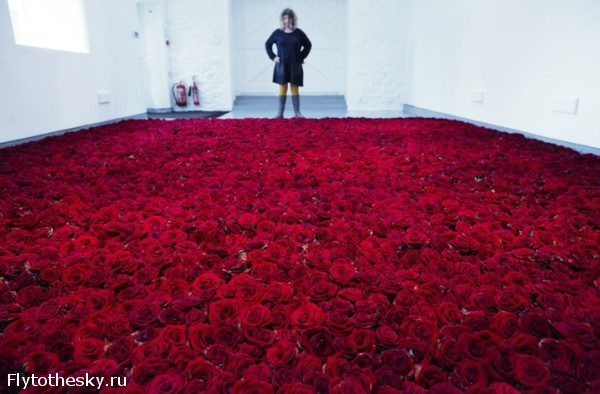 10000 красных роз (4)