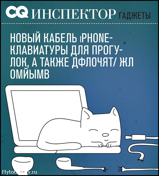 Кошачий журнал GQ (8)