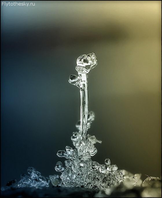 Макросъемка снежинок фотографа Андрея Осокина (2)