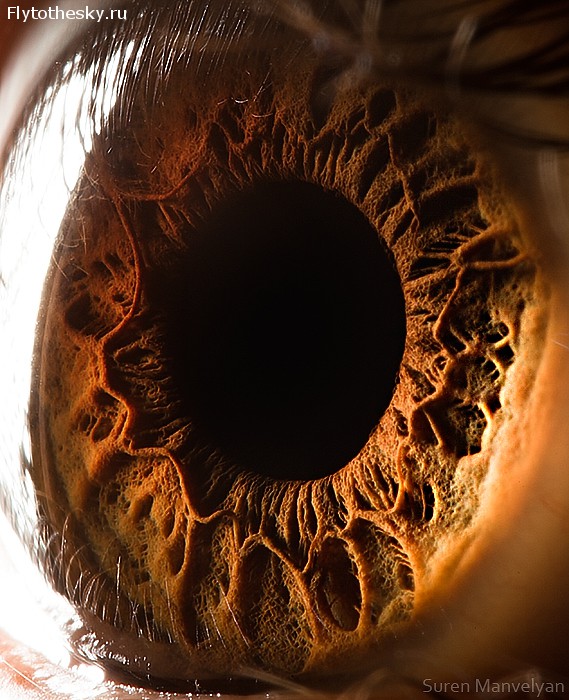 Макросъемка человеческого глаза от фотографа Suren Manvelyan (10)