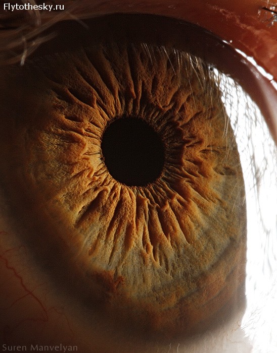 Макросъемка человеческого глаза от фотографа Suren Manvelyan (11)