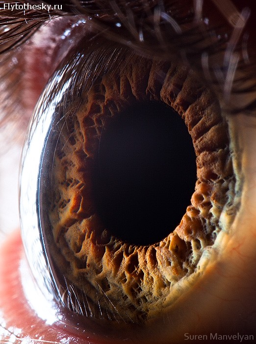 Макросъемка человеческого глаза от фотографа Suren Manvelyan (12)