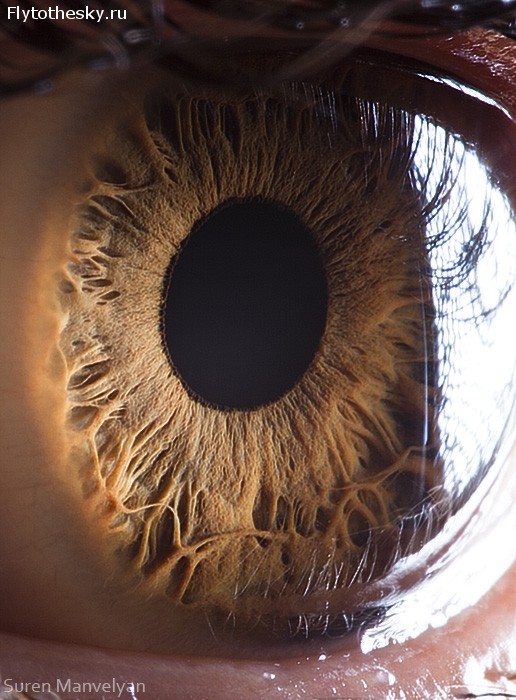 Макросъемка человеческого глаза от фотографа Suren Manvelyan (13)