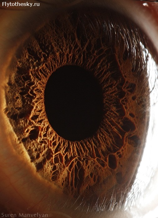 Макросъемка человеческого глаза от фотографа Suren Manvelyan (14)