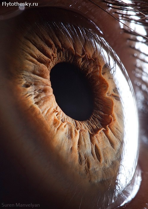 Макросъемка человеческого глаза от фотографа Suren Manvelyan (16)