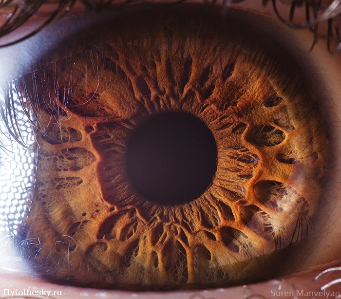 Макросъемка человеческого глаза от фотографа Suren Manvelyan (3)