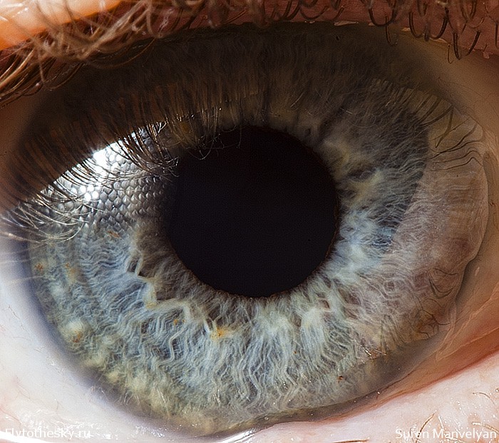 Макросъемка человеческого глаза от фотографа Suren Manvelyan (4)