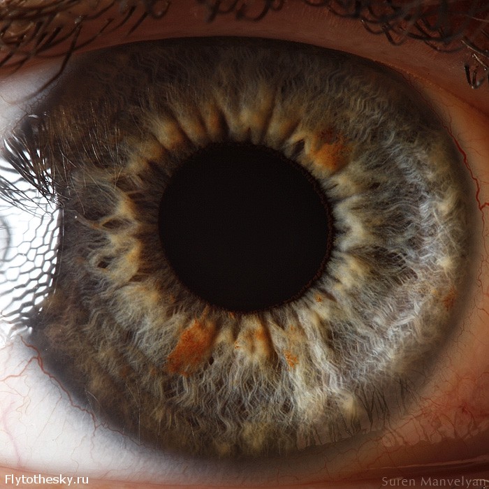Макросъемка человеческого глаза от фотографа Suren Manvelyan (5)
