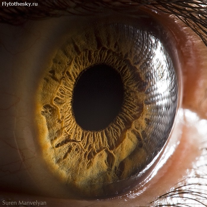 Макросъемка человеческого глаза от фотографа Suren Manvelyan (7)