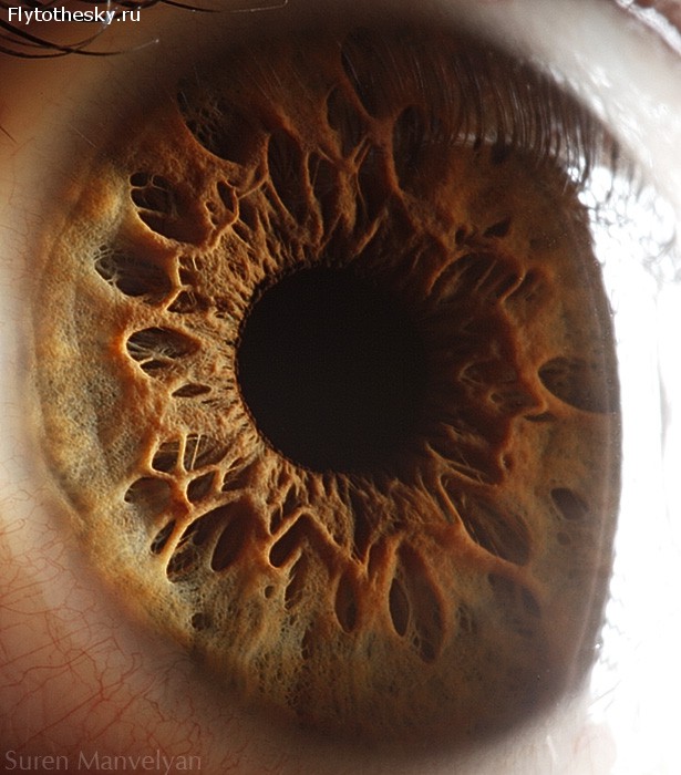Макросъемка человеческого глаза от фотографа Suren Manvelyan (8)
