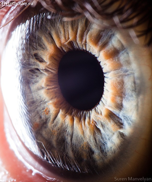 Макросъемка человеческого глаза от фотографа Suren Manvelyan (9)