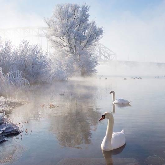 красивые зимние фотографии (7)
