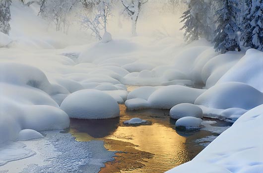 красивые зимние фотографии (4)