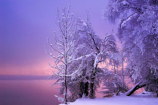 красивые зимние фотографии (2)