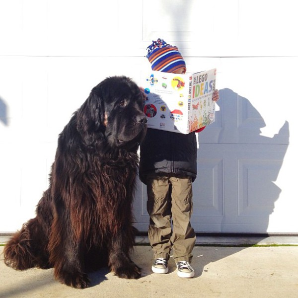 Мальчик и его большая собака (2)