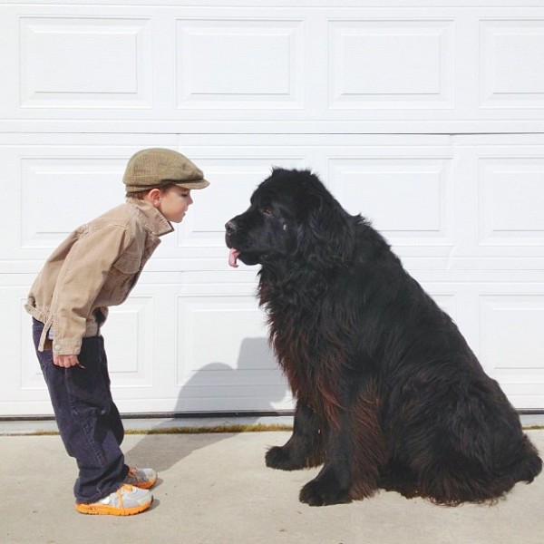 Мальчик и его большая собака (1)