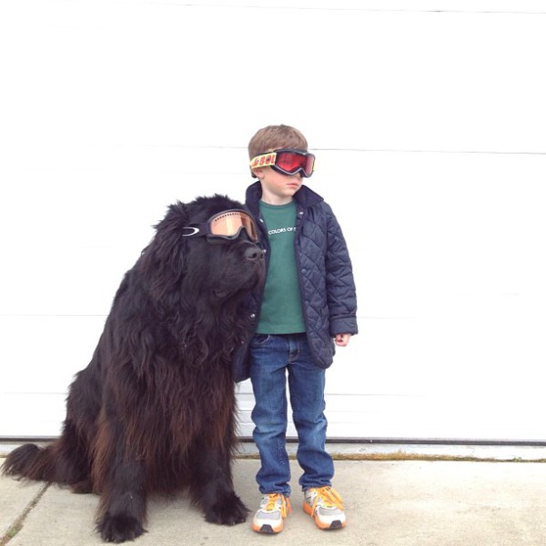 Мальчик и его большая собака (5)
