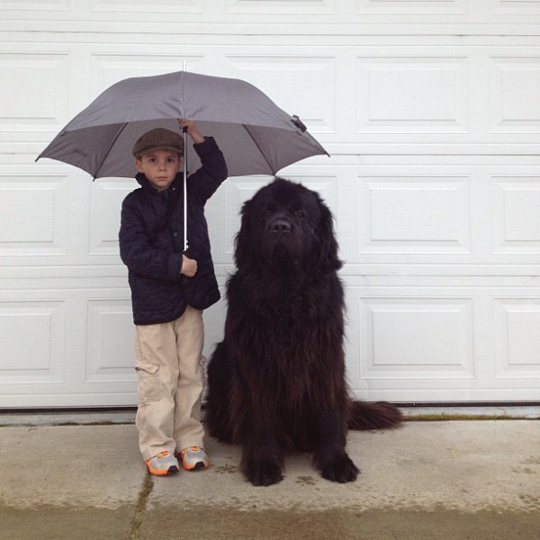 Мальчик и его большая собака (4)