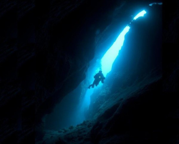 фотографии подводного мира (4)