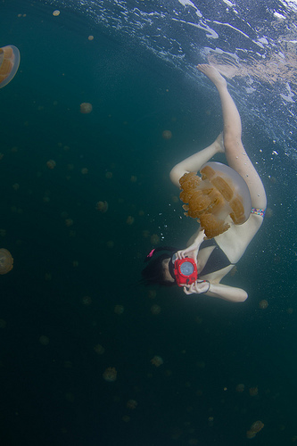 Озеро медуз (7)