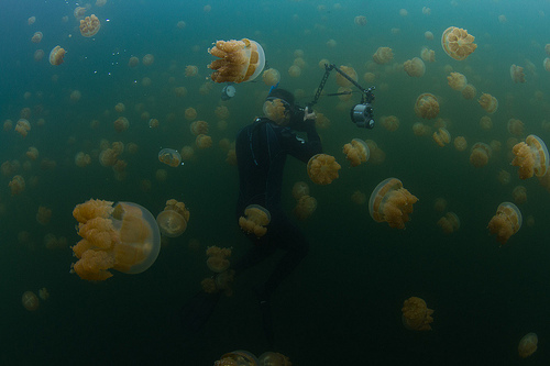 Озеро медуз (5)