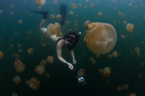 Озеро медуз (3)