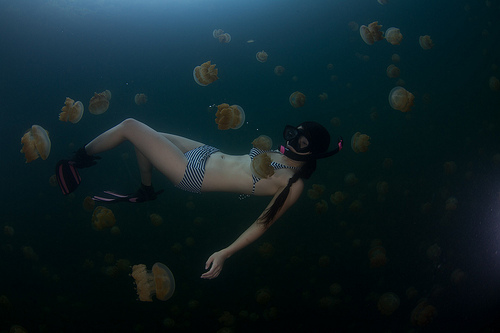Озеро медуз (2)
