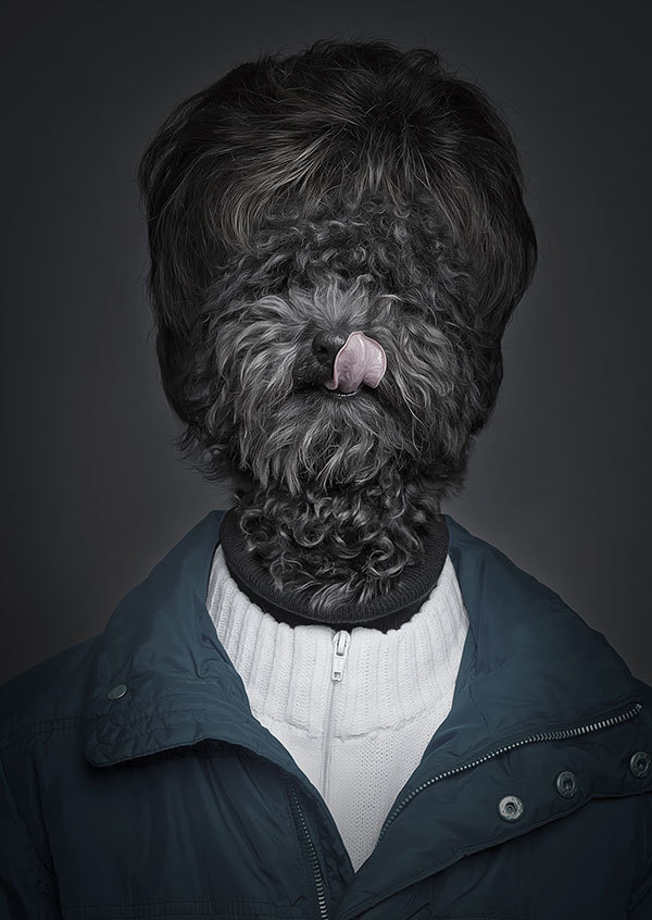 Забавные портреты собак (2)
