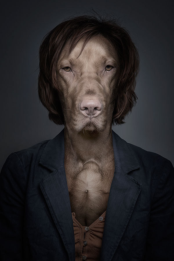 Забавные портреты собак (5)