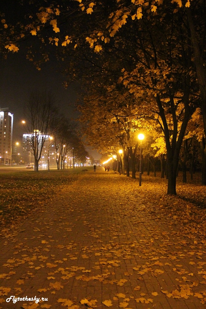 осень в Минске