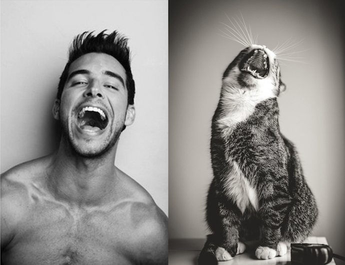 Мужчины и коты (2)