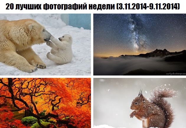 20 лучших фотографий недели (3.11.2014-9.11.2014)