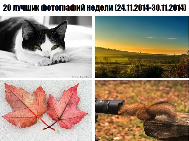 20 лучших фотографий недели (24.11.2014-30.11.2014)