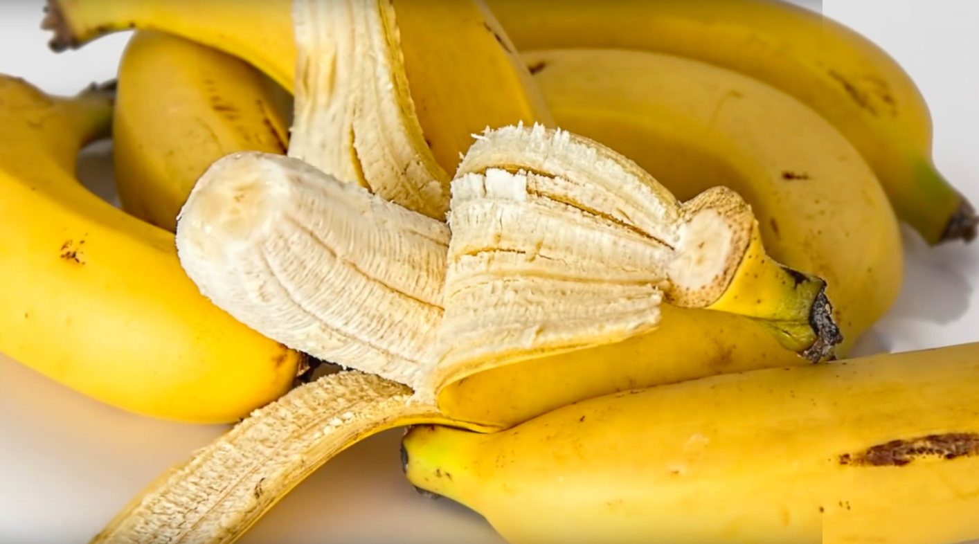 Банан. Дикий банан. Банановые семена. Банан в 6 месяцев