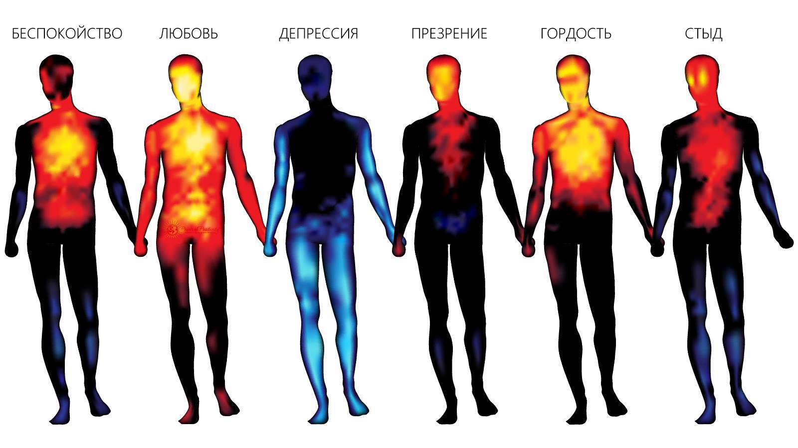 Тепловая карта эмоций человека