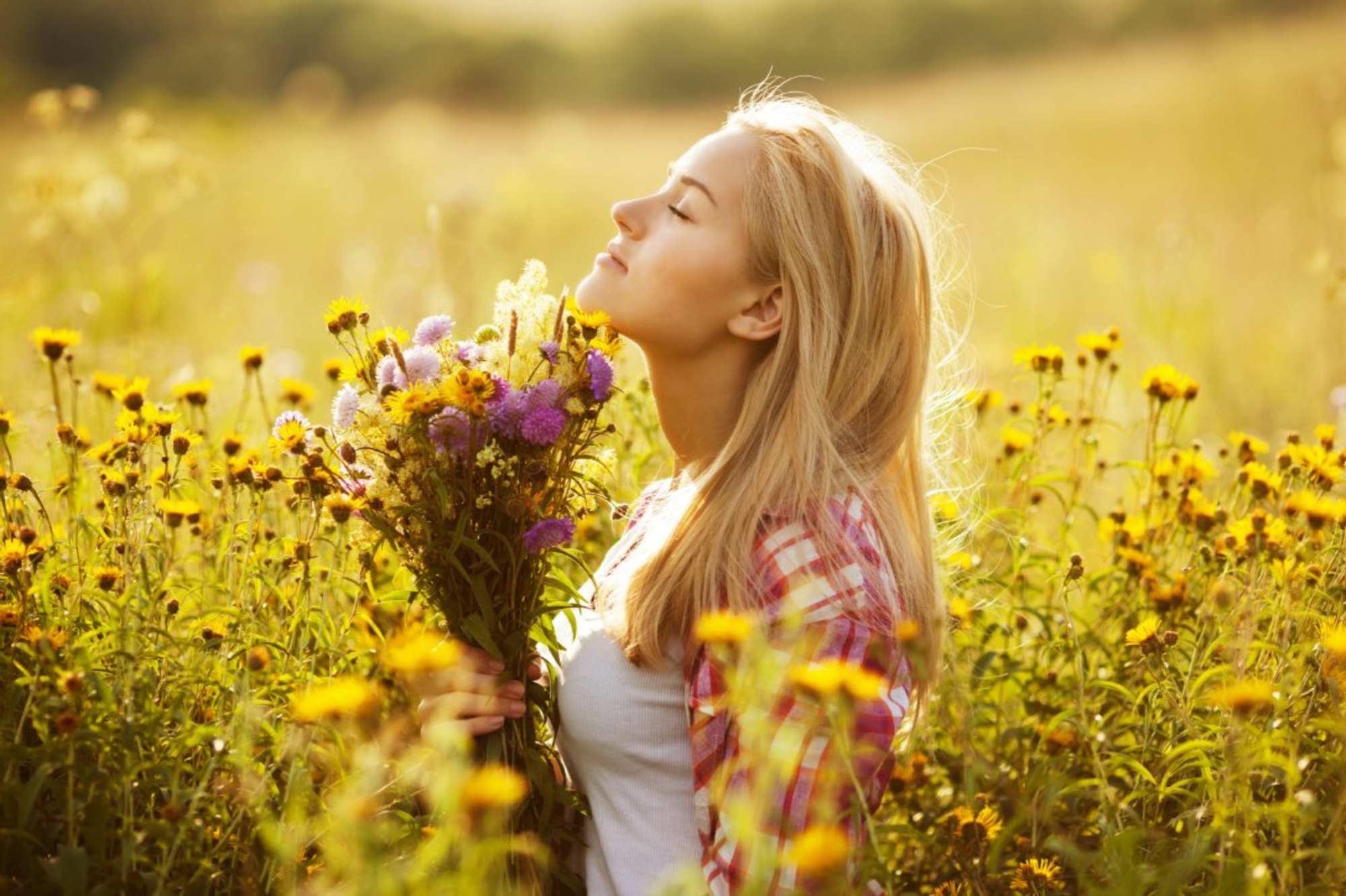 Чувствуешь запах лета. Счастливая женщина. Счастливая девушка. Фотосессия в полевых цветах. Девушка в полевых цветах.