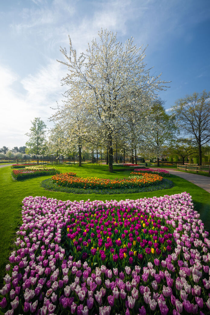 парк цветов