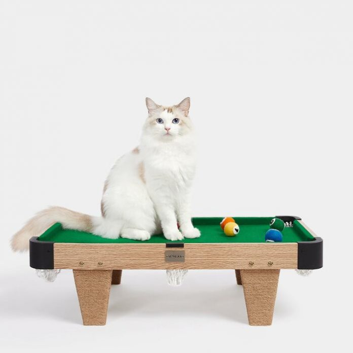 Специально для кошек создали миниатюрный бильярдный стол